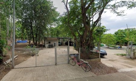 ขายบ้าน - ที่ดินอ.ภูซาง พะเยาพื้นที่ 3-2-12 ไร่พร้อมบ้าน3หลัง,1เรือนรับรองดูแลรักษาสม่ำเสมอ เหมาะใช้ชีวิตเกษียณอยู่กับธรรมชาติ รับรองญาติมิตรได้ใก้ลพระธาตุภูซาง