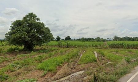 ขายที่ดิน - ที่ดินแปลงสวย 12 ไร่กว่า ติดถนนลาดยาง ใกล้ชุมชน