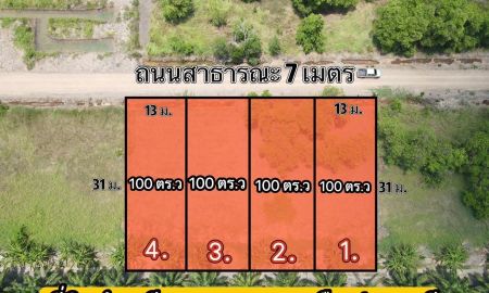 ขายที่ดิน - ขายที่ดินสวยคลอง 10 เนื้อที่ 100 ตรว. ซอยบึงพะยอม หนองเสือ ปทุมธานี