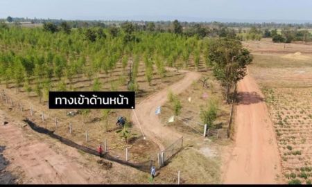 ขายที่ดิน - ขายที่ดิน 93 ไร่ (มีโฉนดครุฑแดง) ไร่ละ 120,000 บาท จ.ขอนแก่น