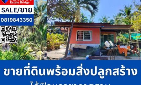ขายที่ดิน - ขายที่ดิน สวนมะพร้าว 5 ไร่ 2 งาน 16 ตรว. พร้อมบ้าน 2 หลัง