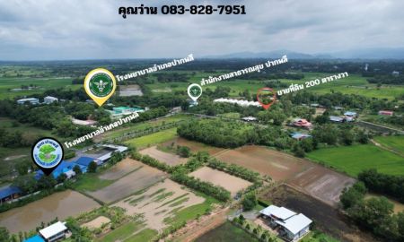 ขายที่ดิน - ขายที่ดิน 200 ตร.ว. ถมแล้ว มีโฉนด อ.ปากพลี ห่างโรงพยาบาล 450 ม. ขายเพียง 790,000 บาท