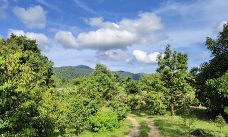ขายที่ดิน - ขายด่วน สวนทุเรียน พร้อมบ้าน1หลัง โซนห้วยสะท้อน อ.ท่าใหม่ จ.จันทบุรี