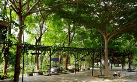 ขายอพาร์ทเม้นท์ / โรงแรม - ขายรีสอร์ทเขาใหญ่ เป็นพื้นที่ส่วนตัว มีถ้ำและพื้นที่ให้นักภาวนา ทำสมาธิ เหมาะกับนักปฎิบัติธรรม
