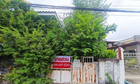 ขายที่ดิน - ที่ดิน 115 ตร.วา ซ.ปุณณวิถี 31 (สุขุมวิท 101)
