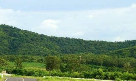 ขายที่ดิน - ขายที่ดินเขาใหญ่ วิวเขาสวยมาก 4-5 ไร่ อยู่ขนงพระ ปากช่อง นครรราชสีมา ใกล้เส้น 2235 ใกล้ สนามกลอฟ์แรนโชว์ เหมาะปลูกบ้าน ทำรีสอร์ท คาเฟ่ พูลวิลล่า