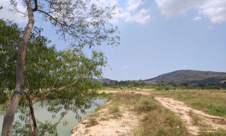 ขายที่ดิน - ขายที่ดินตะเคียนเตี้ย 60 ไร่ ใกล้ท่าเรือแหลมฉบัง-15กม. ใกล้ถนนมอเตอร์เวย์7-2กม. อ.บางละมุง ชลบุรี