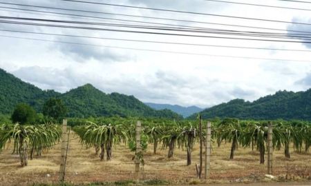 ขายที่ดิน - ขายที่เขาวง เขาใหญ่ ปากช่อง หนองน้ำแดง 20 ไร่ วิวเขาสวยชัดมาก ใกล้ภูเขา ถนนธนะรัชต์ ศูนย์ผู้นำCP มอเตอร์เวย์ ห้างชุมชนร้านค้า ถนนมิตรภาพ ที่สูง