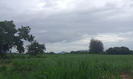 ขายที่ดิน - ขายที่ดินโฉนด 350 ไร่ ที่ดินแนวราบ ผังแปลงสวย และติดถนนหลวง 3218