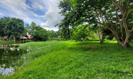 ขายที่ดิน - ขายที่ดิน หมู่บ้านริมน้ำวิวดอย บ้านหนองบัว อ.แม่แตง เชียงใหม่ เนื้อที่ 1 ไร่เศษ *แปลงมุม ใกล้วัดทุ่งหลวงและ ภูตะวันพันดาว มีต้นไม้ใหญ่ร่มรื่น มีบึงน้ำ
