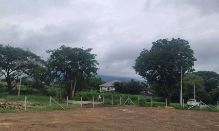ขายที่ดิน - ขายที่ดินตำบลสุเทพบ้านช่างทองวิวดอยสุเทพโฉนดพร้อมโอน