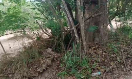 ขายที่ดิน - ขายที่ดินตำบลน้ำแพร่หางดงติดถนนสองด้านถมดินเรียบร้อย