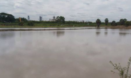 ขายที่ดิน - ขายที่ดินเปล่า 26-0-58 ไร่ ต.บางพูด อ.เมือง จ. ปทุมธานี