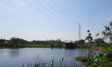 ขายที่ดิน - ขายที่ดินบ้านเก่าสีม่วงพานทอง 19 ไร่ ติดนิคมอมตะติดแยกเฟส6ถ.บ้านเก่า3466 ใกล้ถนนบายพาส300เมตร จ.ชลบุรี
