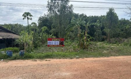 ขายที่ดิน - ที่ดิน แปลงสวย 323 วา2 ใกล้หินสามวาฬ จ.บึงกาฬ เลียบถนนชยางกูร