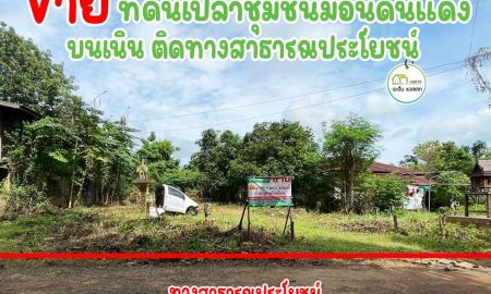 ขายที่ดิน - ที่ดินใกล้ถนนบายพาสสายใหม่ เพียง100เมตร บ้านม่อนดินแดง เมืองอุตรดิตถ์ ราคาถูก