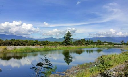 ขายที่ดิน - ลดราคาด่วน ขายสวนผสมติดแม่น้ำลี้ วิวดอยอินทนนท์เหมาะทำบ้านพักตากอากาศ รีสอร์ท คาเฟ่ร้านอาหารริมน้ำ