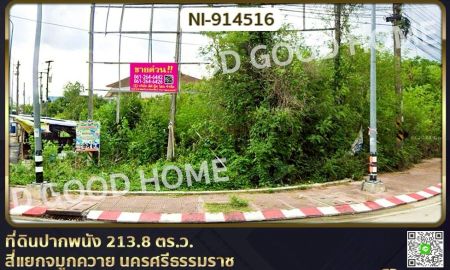 ขายที่ดิน - ที่ดินปากพนัง 213.8 ตร.ว. สี่แยกจมูกควาย นครศรีธรรมราช ใกล้ตลาดย้อนยุคปากพนัง