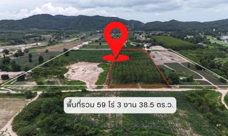ขายที่ดิน - ที่ดินราคาดี นิคมพัฒนา ระยอง ที่สวยบรรยากาศเงียบสงบ 59-3-38.5 ไร่
