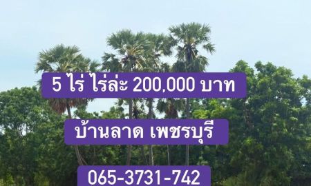 ขายที่ดิน - ที่นาชุมชน เหมาะสำหรับทำโค่กหนองนา ใช้ชีวิตยามเกษียณ บ้านลาดเพชรบุรี