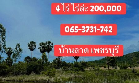 ขายที่ดิน - ที่ดินโฉนด วิวเขา วิวต้นตาล เหมาะสำหรับทำเกษตร บ้านพักยามเกษียณ