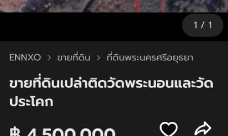 ขายที่ดิน - ขายที่ดินเปล่าติดกับวัดพระนอนและวัดประโคก