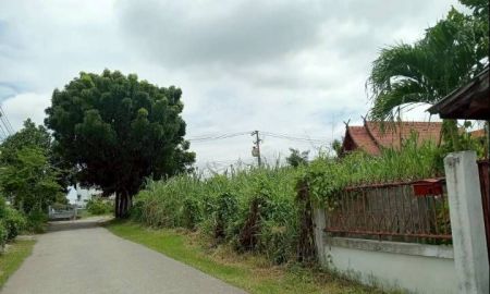 ขายที่ดิน - ขายที่ดินตำบลช้างเผือกโชตนา 20 ติดถนนสองด้านพร้อมโอน