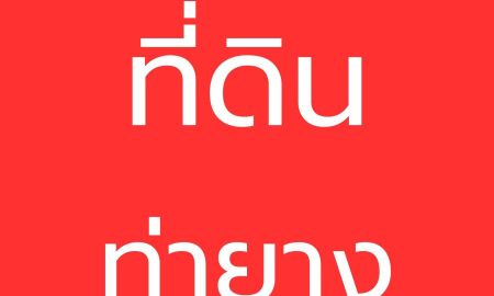 ขายที่ดิน - ที่ดินติดถนน! เดินทางสะดวก เหมาะสร้างบ้าน ทำธุรกิจ หรือซื้อเก็บลงทุน