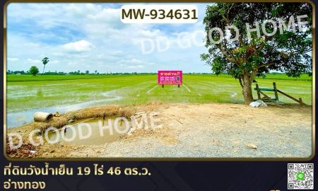 ขายที่ดิน - ที่ดินวังน้ำเย็น 19 ไร่ 46 ตร.ว. อ่างทอง ใกล้วัดหนองยาง