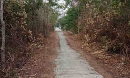 ขายที่ดิน - ขายที่ดินเปล่า ใกล้ชุมชน ท่องเที่ยว พระพุทธบาท (เหมาะกับลงทุน )