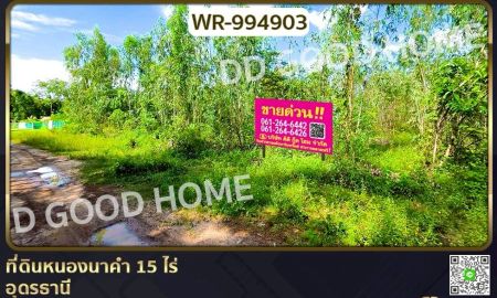 ขายที่ดิน - ที่ดินหนองนาคำ 15 ไร่ อุดรธานี ใกล้วัดป่าศิริมงคล