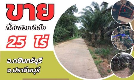 ขายที่ดิน - ขายที่ดิน 25 ไร่ อ.กบินทร์บุรี จ.ปราจีนบุรี ราคาดี ห้าแสนกว่าต่อไร่