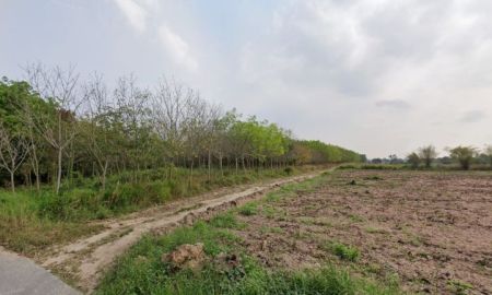 ขายที่ดิน - ขายที่ดิน 14ไร่ ใกล้ ถนน331บ่อวิน ทำเลได้ ราคาดี มีของแถม
