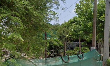 ขายที่ดิน - ที่ดินถมแล้วแปลงเล็ก 115.9 ตรว ต.ดอนไก่ดี อ. กระทุ่มแบน จ.สมุทรสาคร เจ้าของขายเอง ไม่อยู่แนวเวรคืนถนนในอนาคต รีบจับจองก่อนราคาปรับขึ้นหลังปี2569