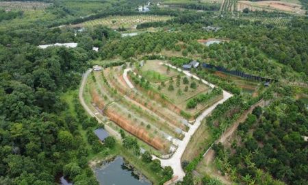 ขายที่ดิน - สวนทุเรียนขั้นบันได บ้านตากอากาศบนเขา พร้อมโฉนด! วิวหลักล้าน 11ไร่ อ.มะขาม จันทบุรี