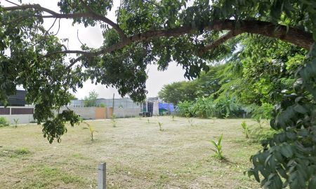 ขายที่ดิน - ขายที่ดินใกล้ Central Eastville แปลงสวย 2 ไร่เศษ