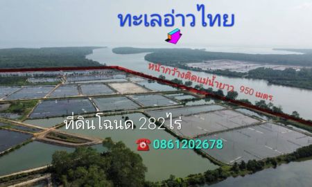 ขายที่ดิน - ขายที่ดินติดแม่น้ำติดทะเลปากอ่าวไทยในจังหวัดสุราษฎร์ธานี 282ไร่