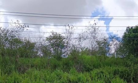 ขายที่ดิน - ขายที่ดินเปล่าแปลงสวย เขตเขาขยาย บ่อวิน ศรีราชา ชลบุรี