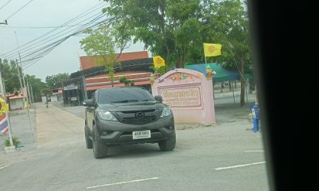 ขายที่ดิน - ขายที่ดิน หน้าวัดหนองกระทิง อู่ทอง สุพรรณบุรี
