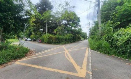 ขายที่ดิน - ขายที่ดินตำบลช้างเผือกช่างเคี่ยนติดถนนโฉนดพร้อมโอน