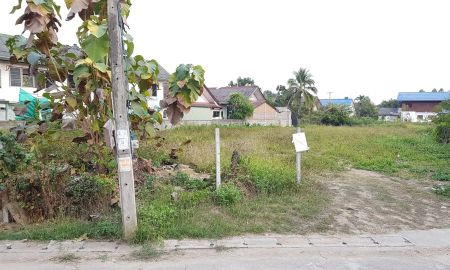 ขายที่ดิน - ขายที่ดินติดถนนบ้านบวกค้างสันกำแพงโฉนดพร้อมโอน