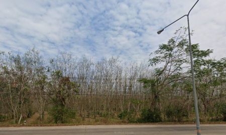 ขายที่ดิน - ขายที่ดินหนองใหญ่ 30 ไร่ ติดถนนสี่เลนเส้นหนองใหญ่ ใกล้นิคมโรจนะหนองใหญ่-5กม. จ.ชลบุรี