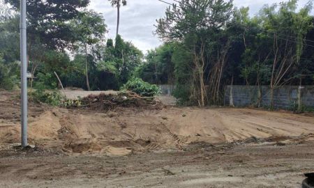 ขายที่ดิน - ขายที่ดินบ้านปึก แปลงสวย ทำเลดี ราคาถูก ใกล้แหล่งชุมชน