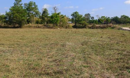 ขายที่ดิน - ขายที่ดินนนทรี 10 ไร่ ใกล้ถนนเส้นสุวรรณศร33-2.3กม. อ.กบินทร์บุรี จ.ปราจีนบุรี