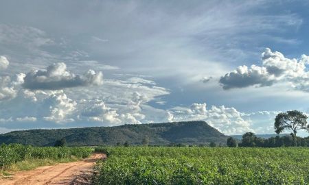 ขายที่ดิน - ขาย ที่ดินวิวสวย ที่อยู่เนินเขา ต.หนองหญ้าขาว อ.สีคิ้ว จ.นครราชสีมา ใกล้เขื่อนลำตะคอง