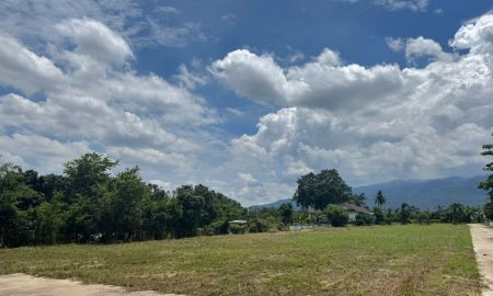 ขายที่ดิน - ขายที่ดินตำบลสันผีเสื้อวิวสวยถนนน้ำไฟพร้อมโอน