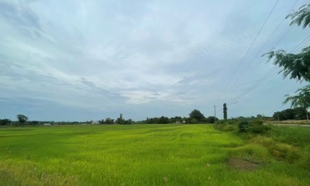 ขายที่ดิน - ขายที่ดินเปล่า ขนาด 24 ไร่ ทำเลทอง บรรยากาศร่มรื่น ใกล้แหล่งชุมชน ต.หัวสำโรง ฉะเชิงเทรา