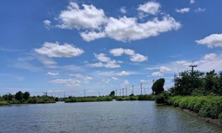 ขายที่ดิน - ขายที่ดินราคาถูก 4-3-93 ไร่ ใกล้วัดคลองสวน พระสมุทรเจดีย์ สมุทรปราการ