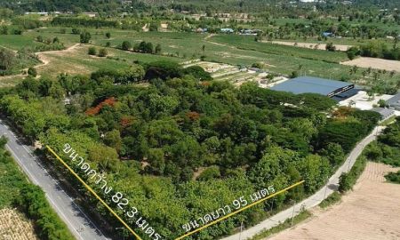 ขายที่ดิน - ขายที่ดินพื้นที่สีเหลือง แปลงสวย ติดถนนสันคาม บางละมุง ชลบุรี