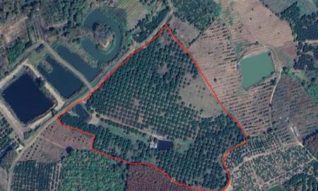 ขายที่ดิน - ขายสวนลำไย 54 ไร่ ราคา16200000 น้ำ-ไฟเข้าถึง พร้อมบ้าน2หลัง+บ่อน้ำ2บ่อ